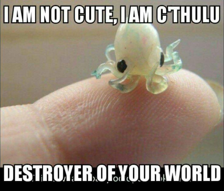 30 Funny Cthulu Memes That Are All Funny No Filler  All Things DnD  Official Homepage  Dungeons  Dragons